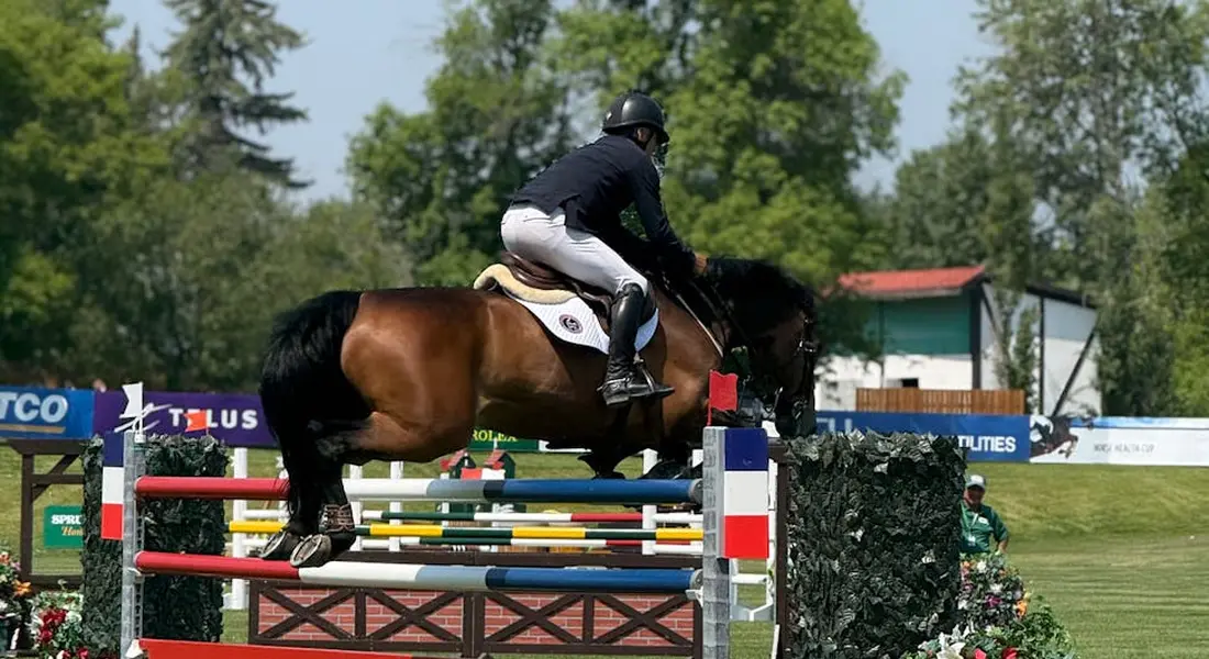 A rider on a horse clears a colorful obstacle during outdoor show jumping.