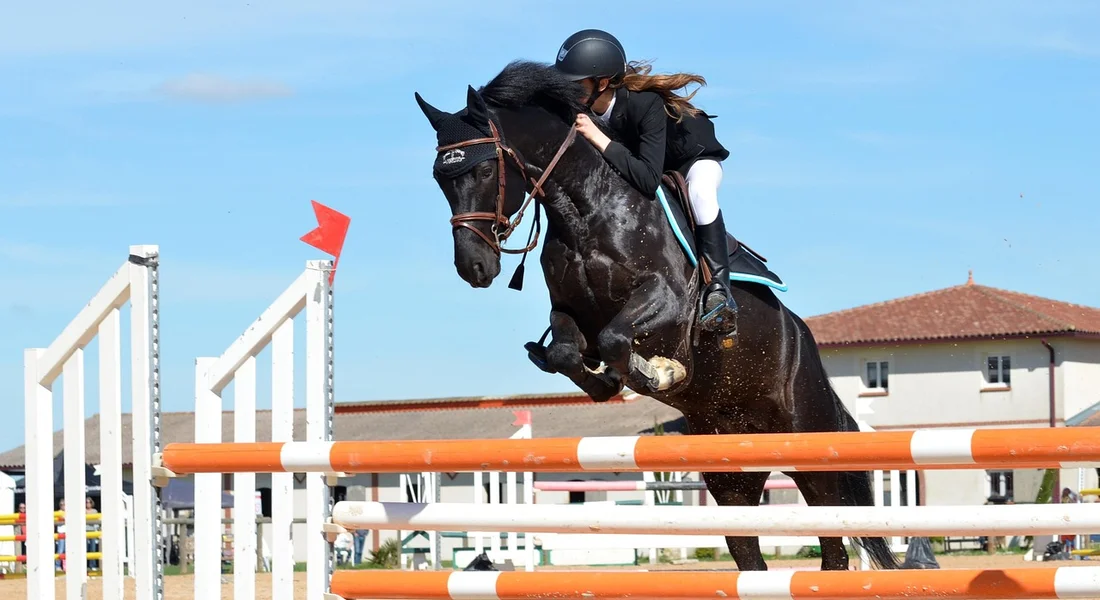 A horse and rider wearing a helmet jump over orange and white show jumping rails in an outdoor arena.