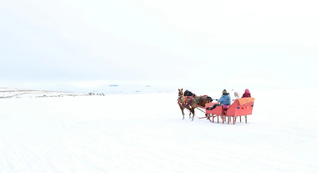A horse-drawn sleigh with passengers gliding across a bright, snowy landscape.