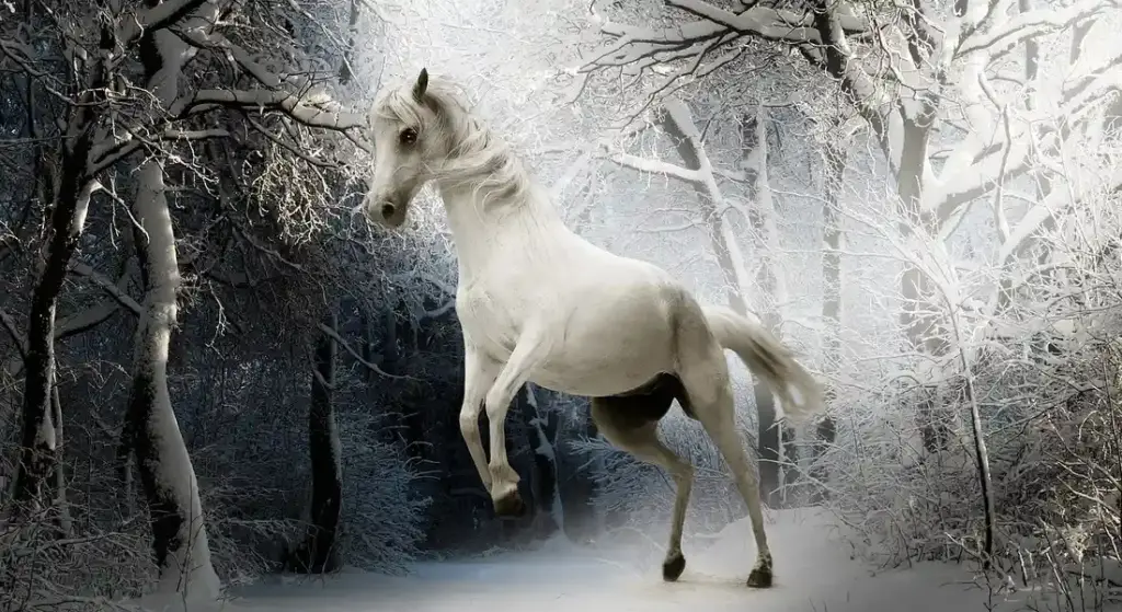 Seasonal Health Concerns for Horses: Your Proactive Year-Round Guide