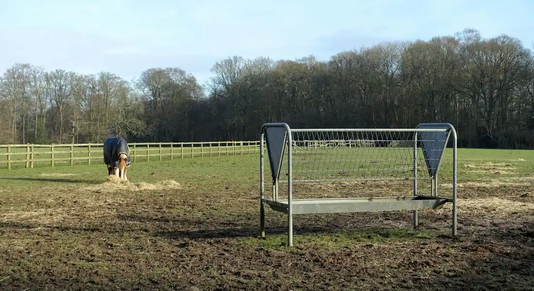 A horse standing in a muddy paddock near a metal frame feeder, with a fenced field and trees in the background and a person visible in the distance.