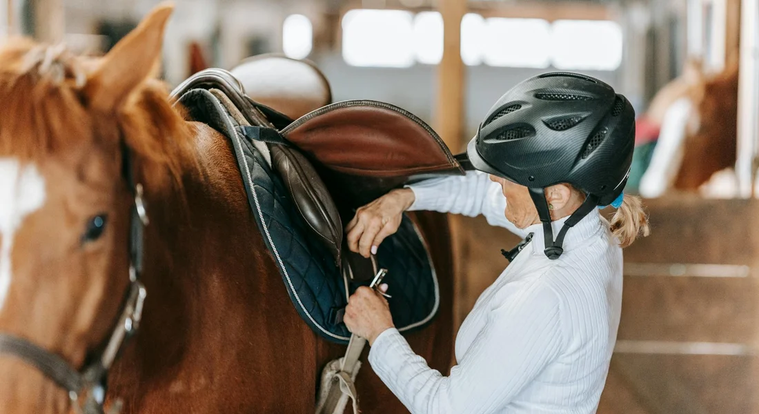 A handler wearing a helmet tacking a horse in a well-lit stable, emphasizing careful handling and comfort.