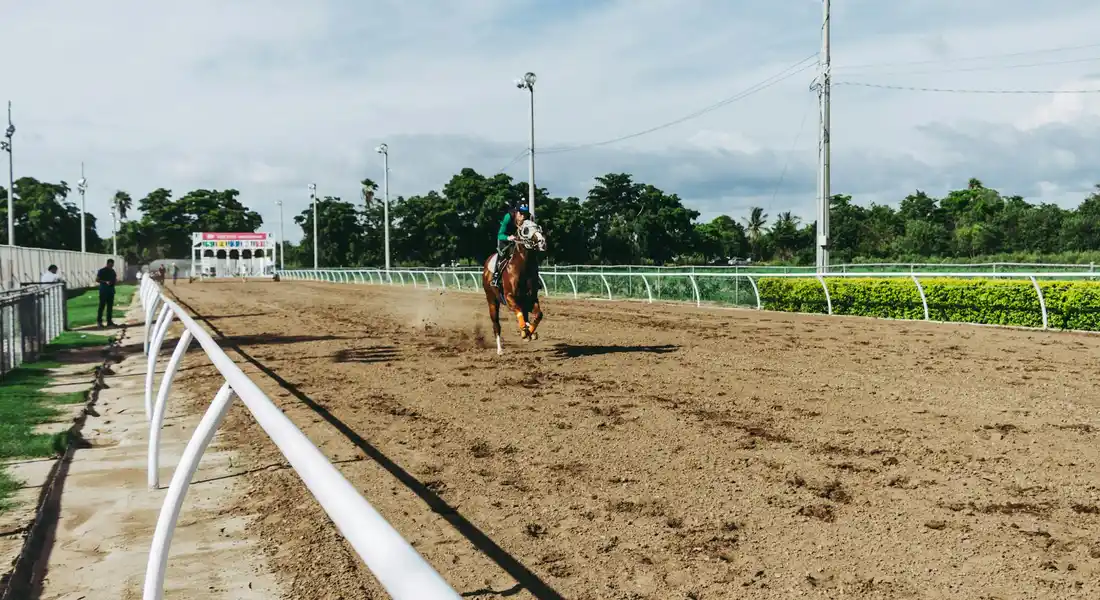 A horse trotting along a dirt racetrack with white railings on either side, under bright daytime skies