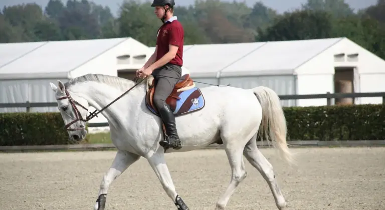 A rider wearing a helmet sits on a white horse fitted with a saddle, bridle, and saddle pad in an outdoor riding arena.