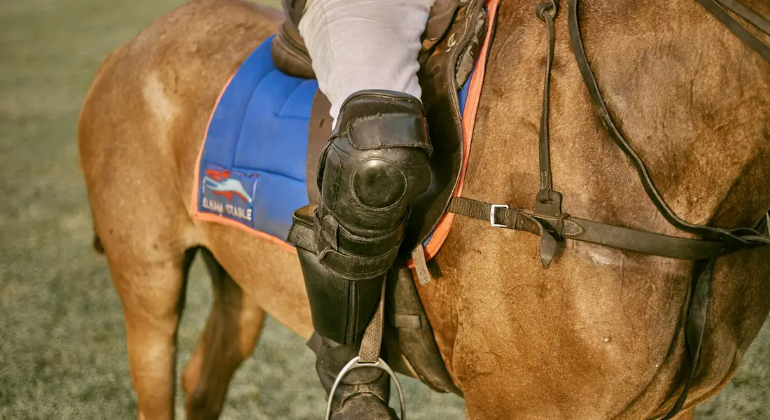 Close-up of a horse's saddle area with a blue saddle pad, stirrup leather, and a rider's protective boot visible.