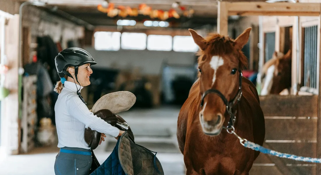 A rider wearing a helmet stands beside a horse in a stable, with a saddle and tack visible.