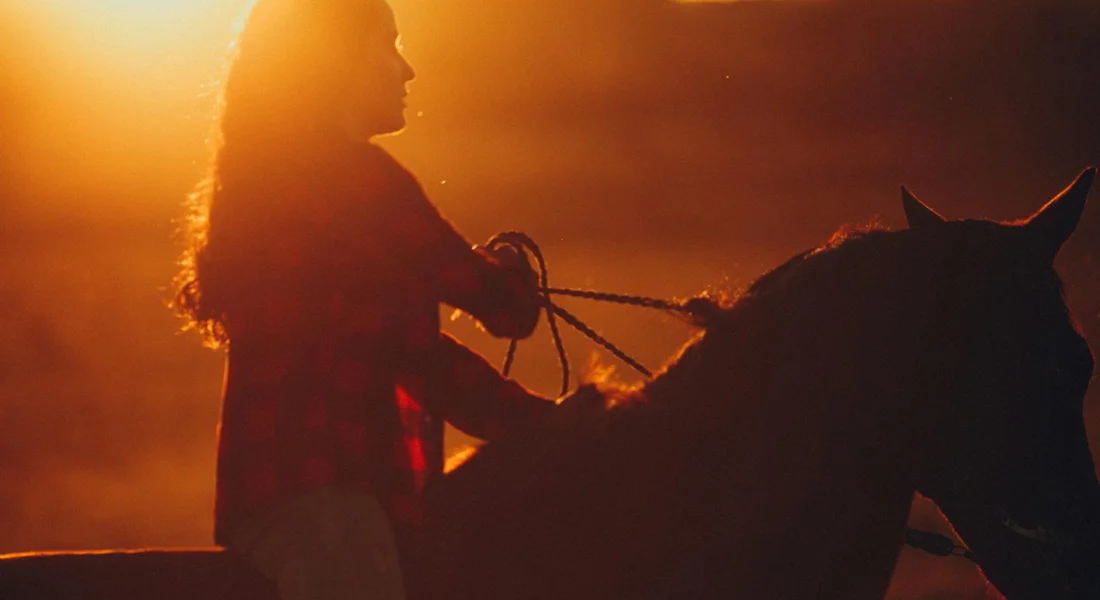 Silhouette of a person leading a horse at sunset, highlighting the care and regulatory context of transporting horses.