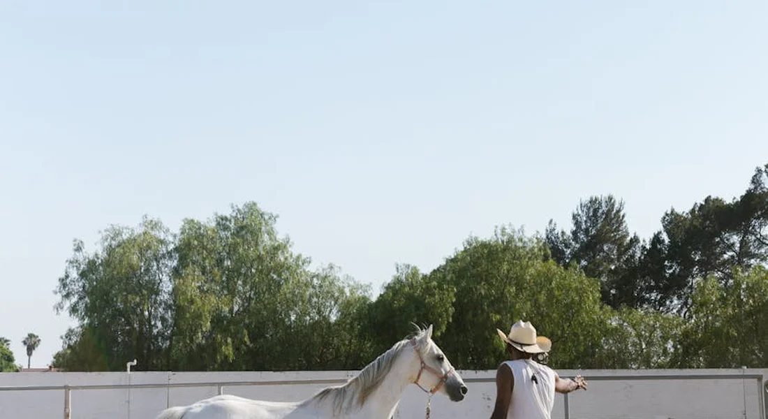 Trainer in a sun hat and light vest guiding a white horse inside a fenced arena, illustrating how behavior may be misread as stubbornness.