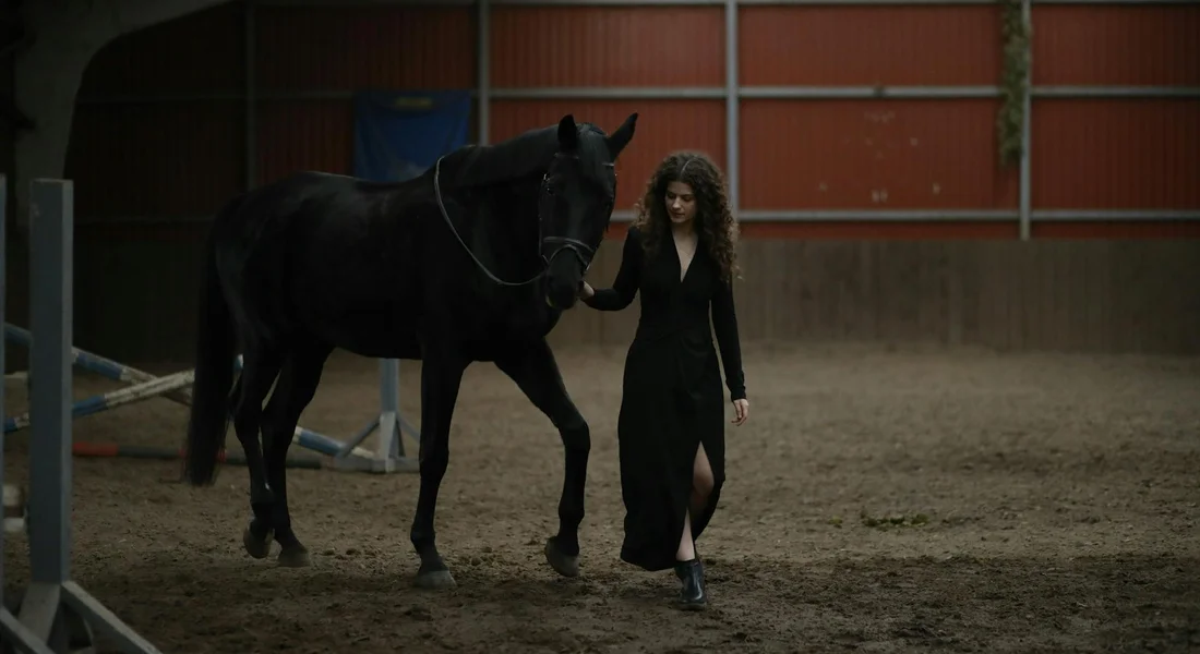 A person guides a dark horse by a lead rope through an indoor riding arena, both walking near the arena wall.