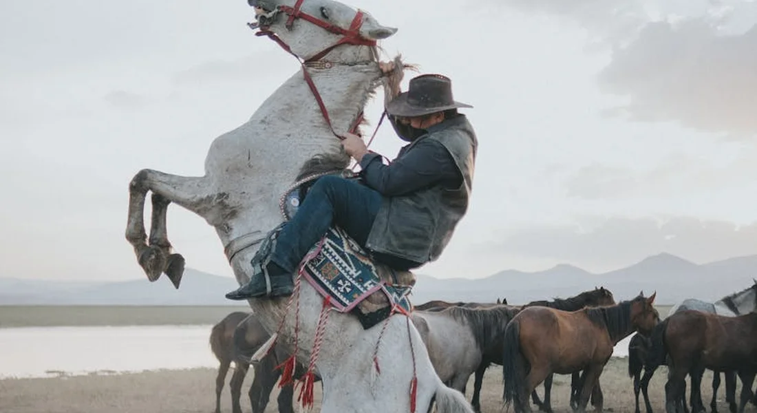 A rider on a white horse rearing up on its hind legs in a dusty, open landscape, with a group of horses in the background.