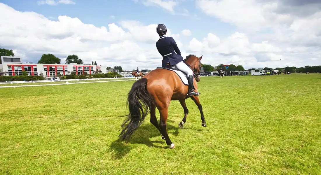 Rider on a horse in a green field under a partly cloudy sky, illustrating leadership and micromanagement in horsemanship.