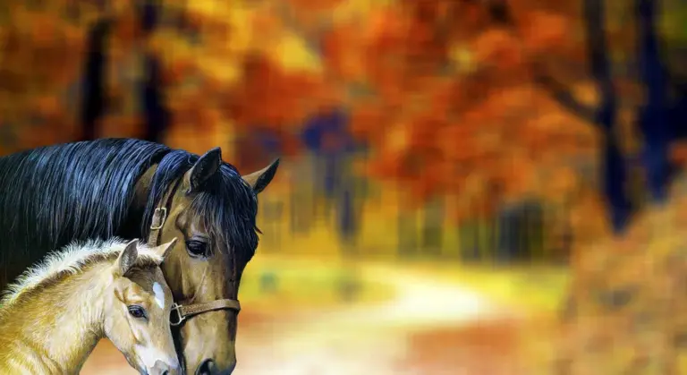 A dark adult horse and a lighter foal stand together in a blurred autumn forest, with warm orange and yellow leaves in the background.