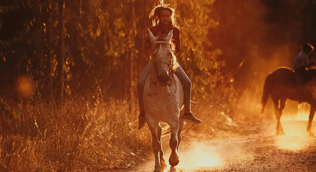 Horse and rider on a sunlit dirt path during golden hour, with another horse and rider in the background