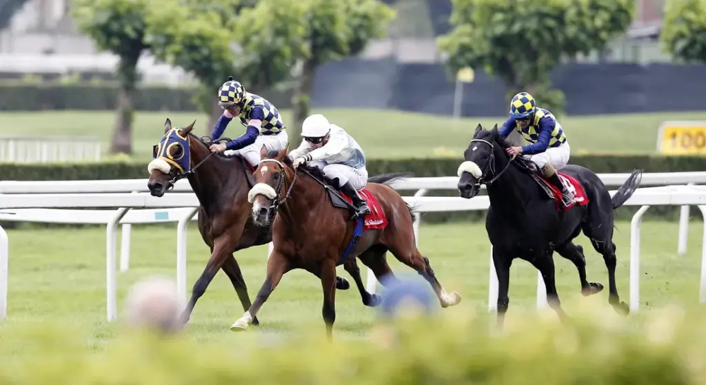 Best Exercises for Building Strength vs. Endurance in Horses