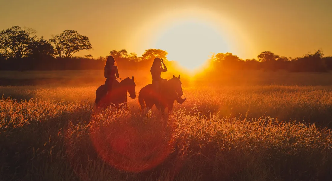Three silhouetted horses with riders on a grassy field at sunset, backlit by a bright sun.
