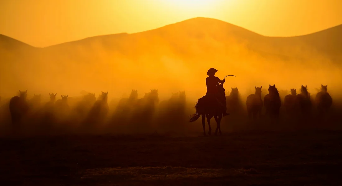 Silhouette of a rider on horseback leading a herd of horses across a dusty plain at sunset.