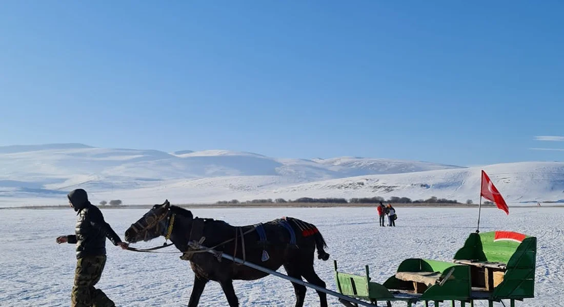 A horse being led by a handler across a snowy field, with a sled and distant hills in a winter landscape.
