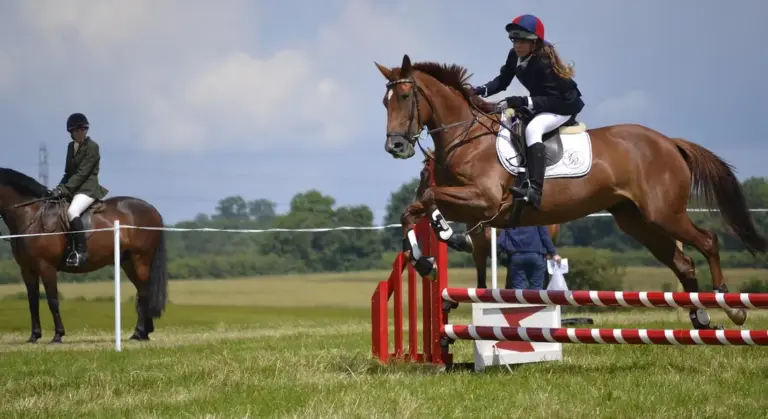 Rider in helmet and riding attire jumps a brown horse over a red and white show-jump obstacle on a grassy field; a second rider and horse are visible in the background.