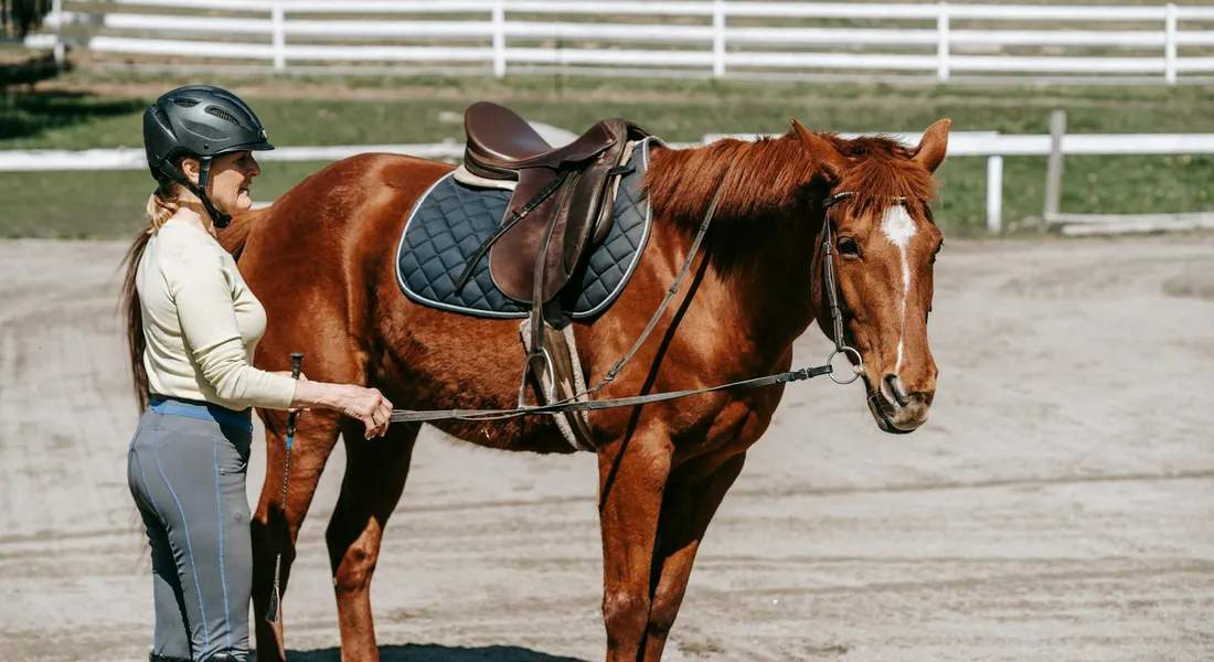 Trainer wearing a helmet stands beside a saddled brown horse in a sandy riding arena, holding a lead rope to practice basic ground manners.