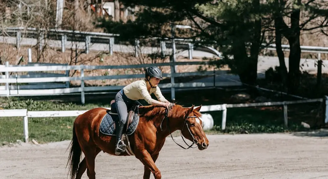 Rider wearing a helmet guides a brown horse in an outdoor arena with fencing.