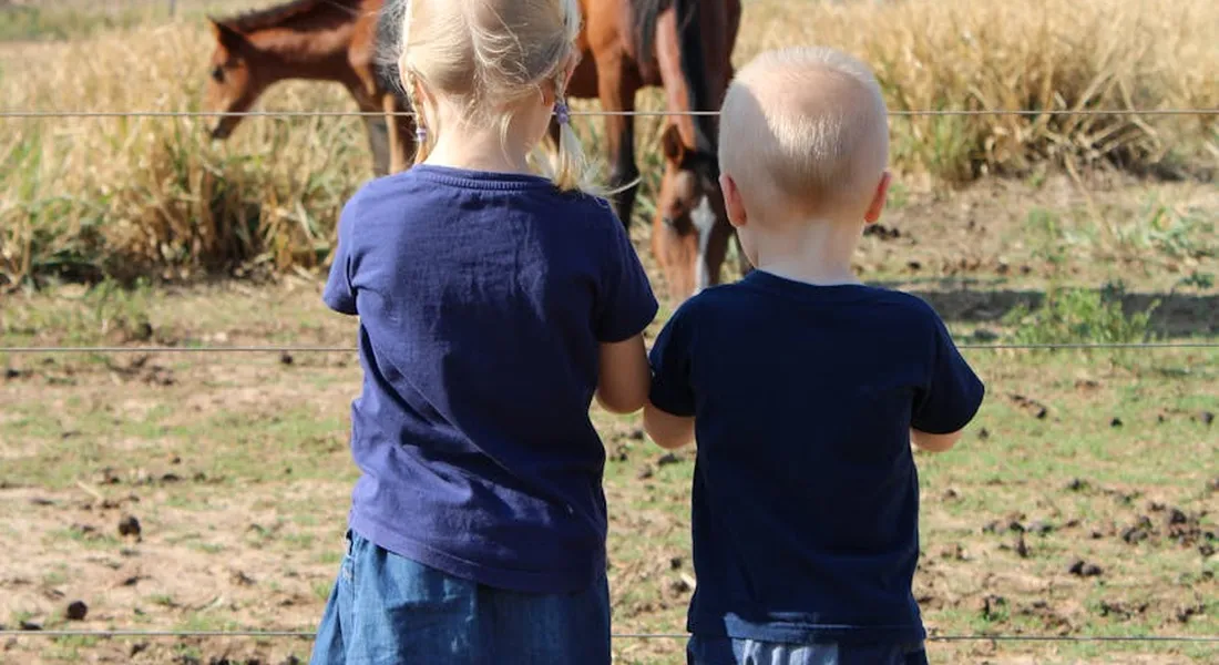 Two young children, seen from behind, stand side by side watching brown horses in a fenced, sunlit field.