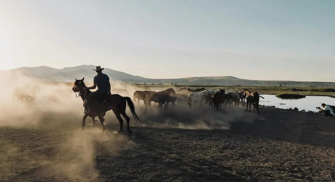 A rider on horseback leads a herd of wild horses across a dusty plain at dawn, with distant hills and a clear sky.