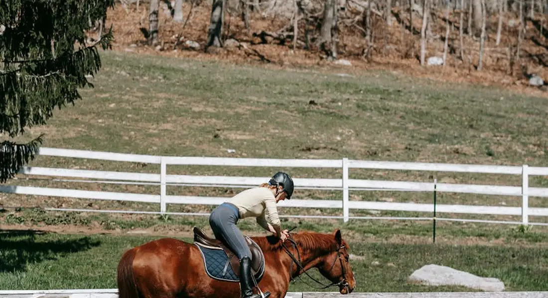 A rider wearing a helmet mounts a brown horse from the left side in an outdoor arena, with a white fence and trees in the background.