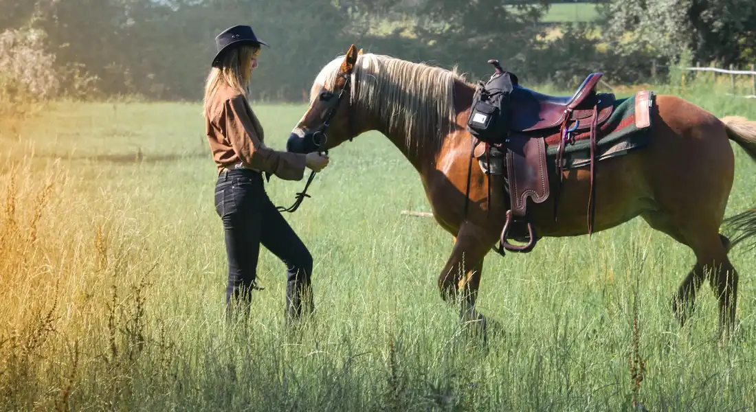A person wearing a hat and brown shirt stands in a sunlit grassy field, holding the lead rope of a saddled horse that faces them.