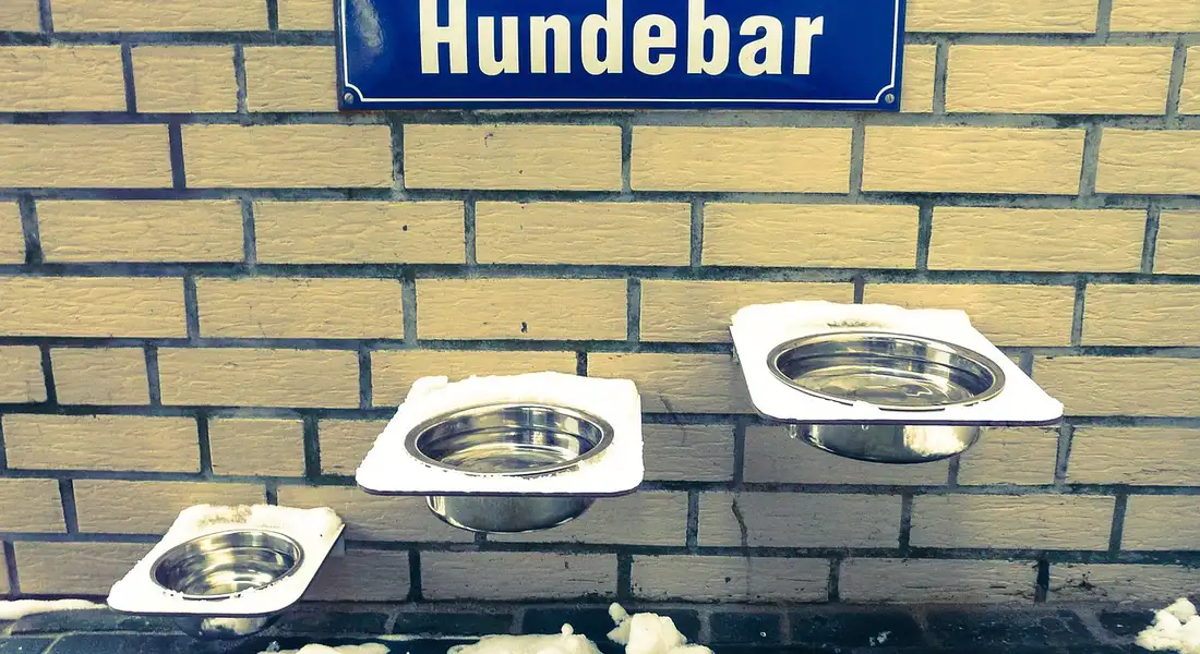 Three stainless steel, wall-mounted water bowls on a brick wall, with a blue sign reading 'Hundebar' above them.