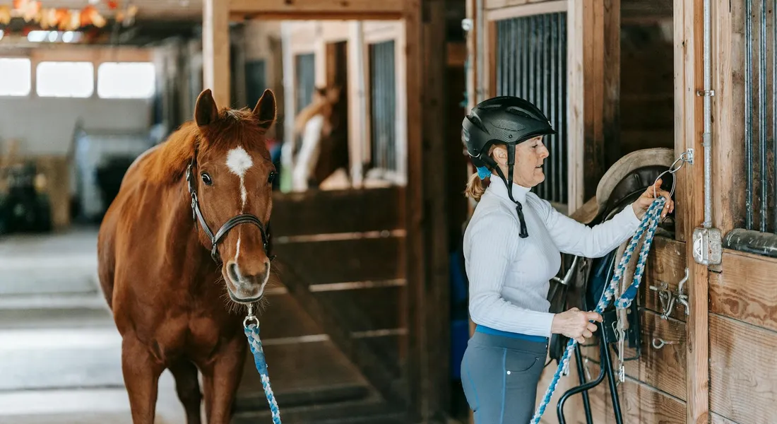 A rider in a helmet and riding attire stands beside a brown horse in a stable, holding a lead rope near the stall.