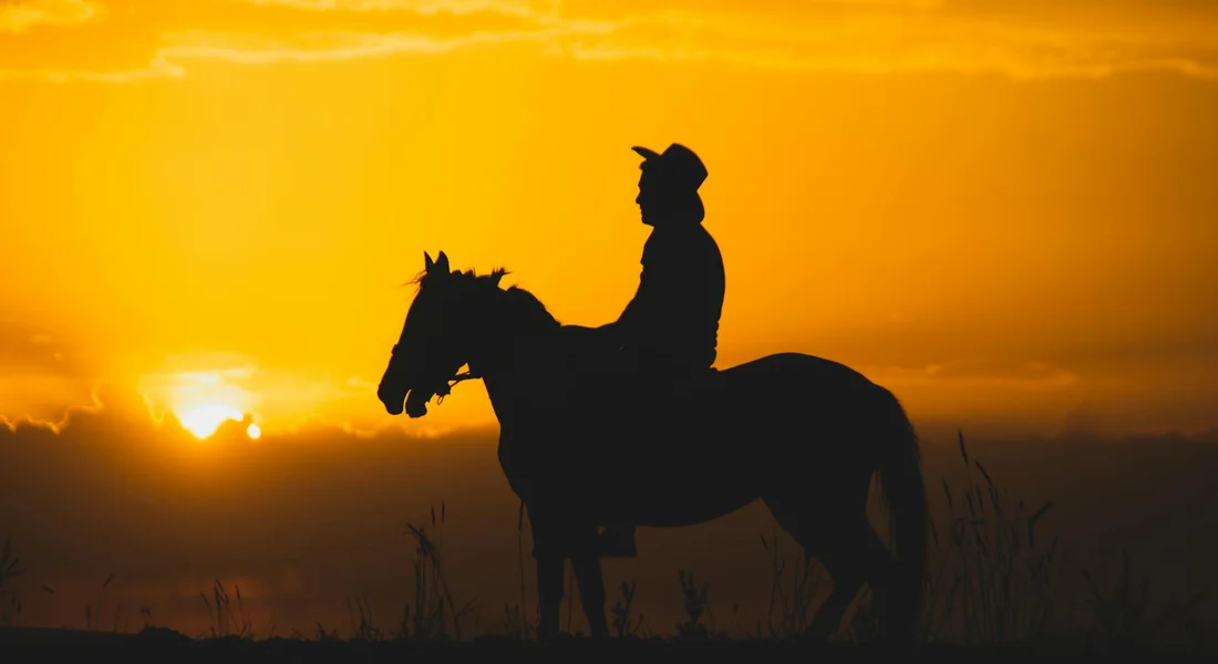 Silhouette of a person riding a mini horse at sunset