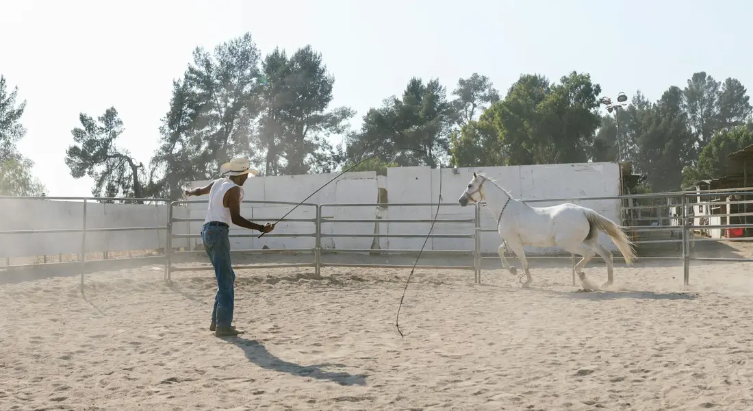 Trainer wearing a hat and jeans in a dusty arena, facing a white horse that rears near the fence, holding a lunge line.