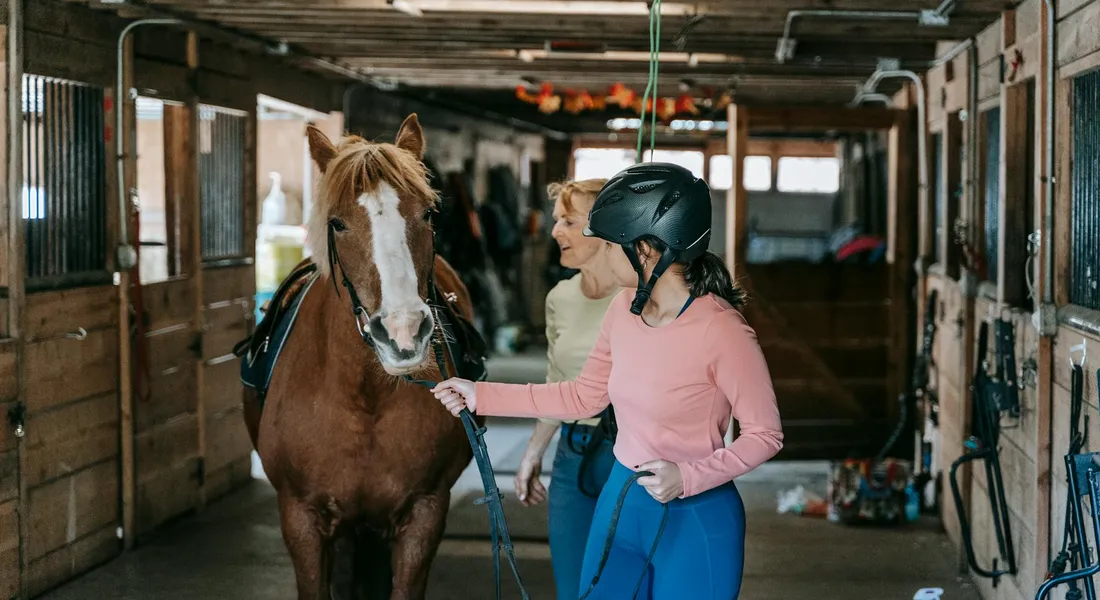 A young rider in a pink long-sleeve shirt and helmet stands beside a brown horse in a stable, holding the reins while another person observes in the background.