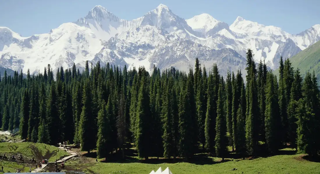 Scenic mountain landscape with snow-dusted peaks, dense evergreen forest, and a grassy meadow for riding.