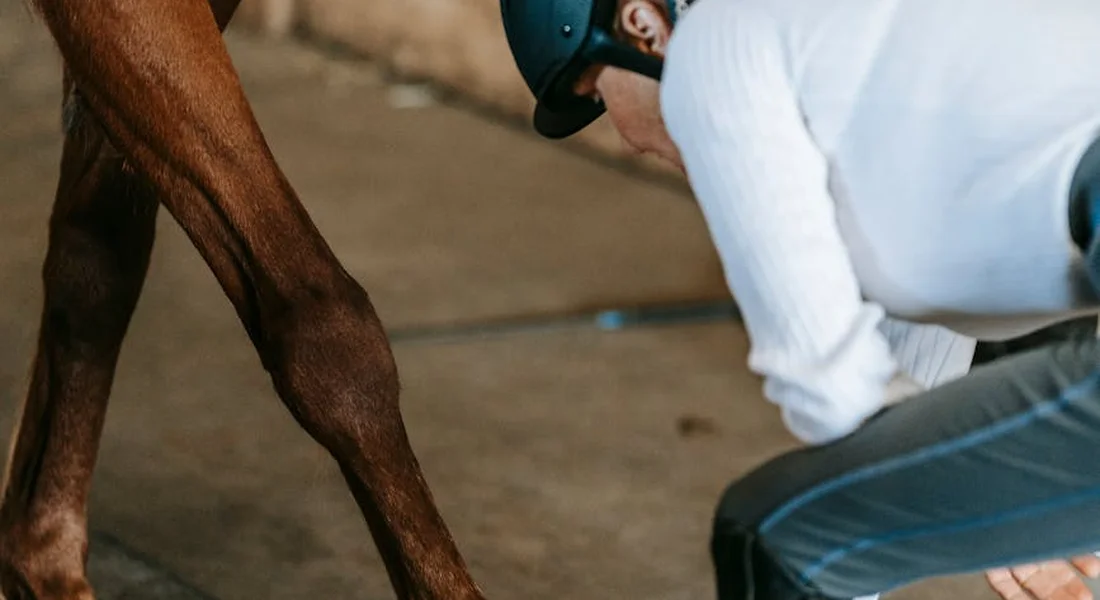 Farrier kneels beside a horse’s hoof, wearing a helmet and gloves, inspecting the hoof during a trimming/shoeing session.