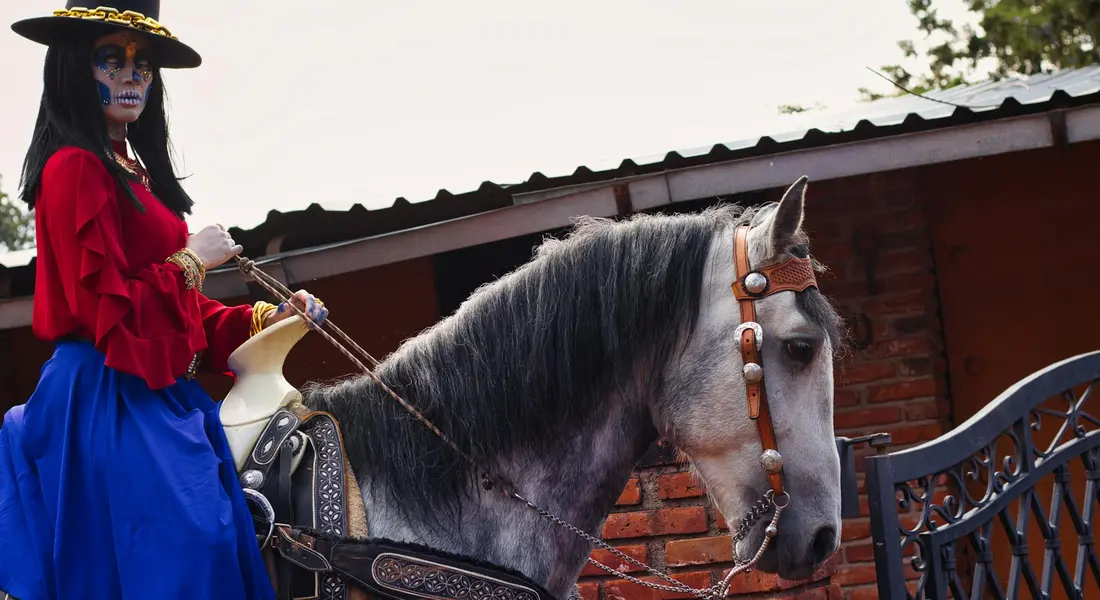 A rider wearing a red blouse and blue skirt sits on a gray horse with a brown bridle in front of a brick building.