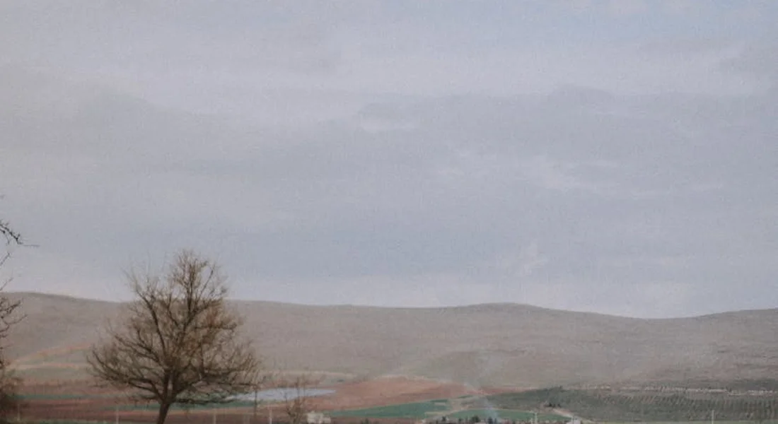 Open pasture with rolling hills, a few bare trees, and a fence under a cloudy sky