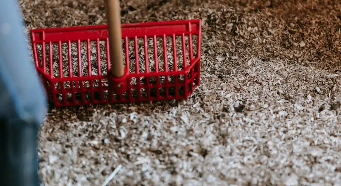 Red rake resting on bedded horse stall