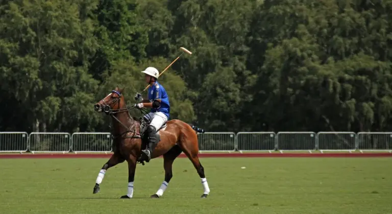 Polo rider wearing blue jersey and white helmet riding a brown horse with white leg wraps on a grassy field