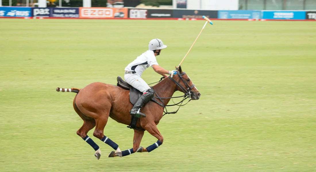 Polo player riding a galloping horse on a green field with a raised mallet and legs wrapped in protective polo wraps.