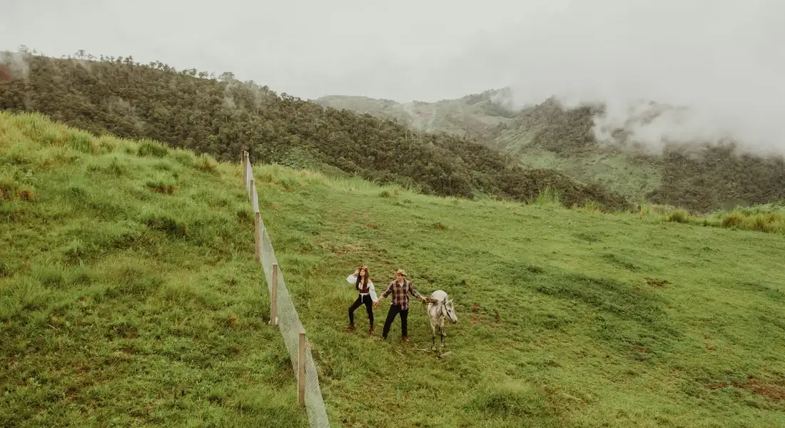 Two people guide a horse across a grassy hillside with a wooden fence and misty mountains in the background on a grey day.