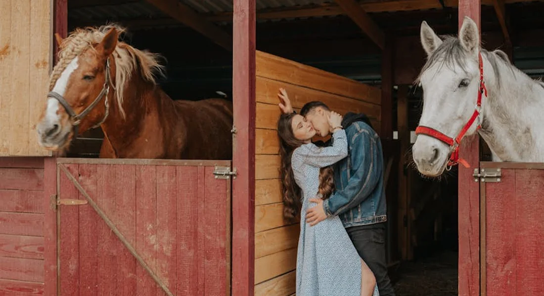 A couple embraces in a barn doorway between two horses, one brown and one white, as they prepare for breeding.