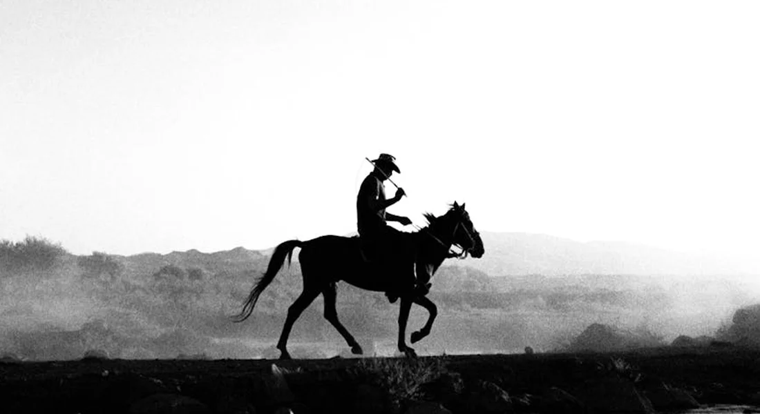 Black and white silhouette of a rider on a galloping Quarter Horse against a pale horizon.
