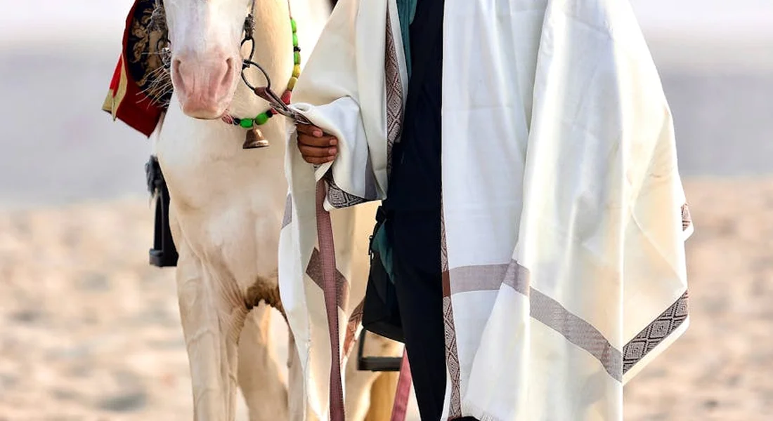 A handler in light robes leads a pale horse across a sandy landscape, symbolizing the journey from horse breed quiz to choosing the right breed and preparing a stable.
