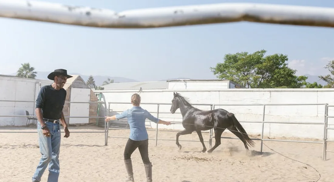 Two trainers in a sandy outdoor arena with a gray horse that is rearing; one trainer on the left wears a black hat, while another in a blue shirt faces the horse with arms extended.