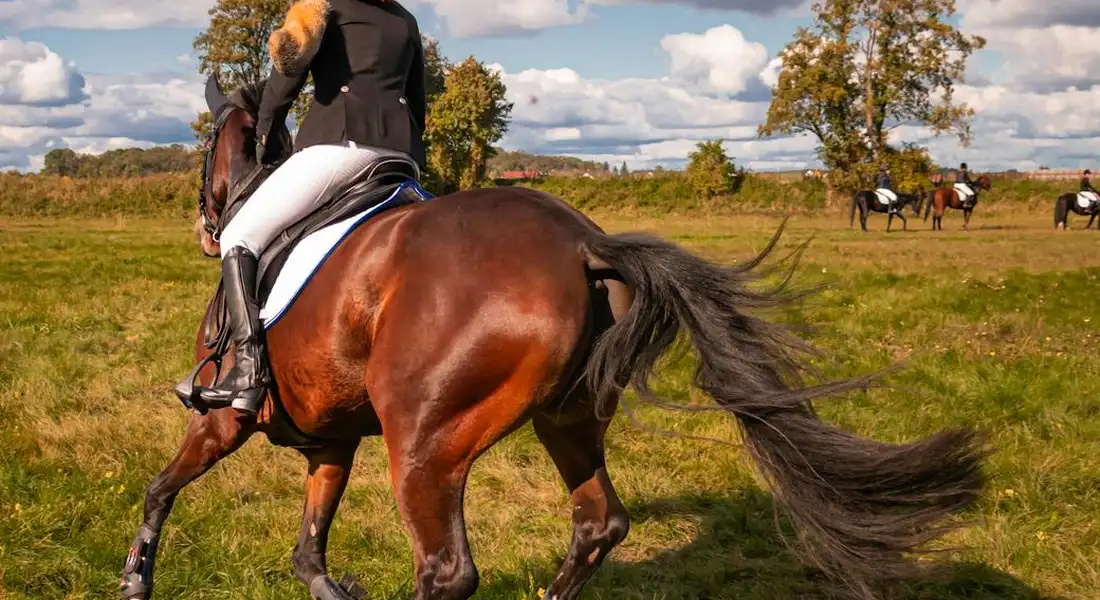 A rider on a brown horse trotting across a sunlit pasture, with other horses in the distance.