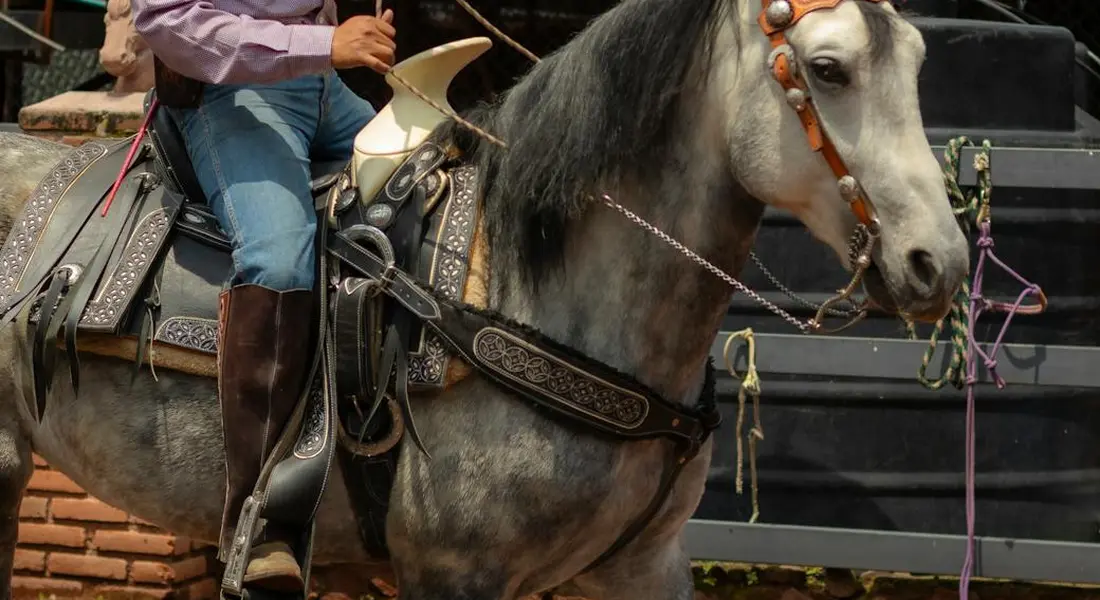A rider on a gray Western-style reining horse with a decorated saddle and bridle.
