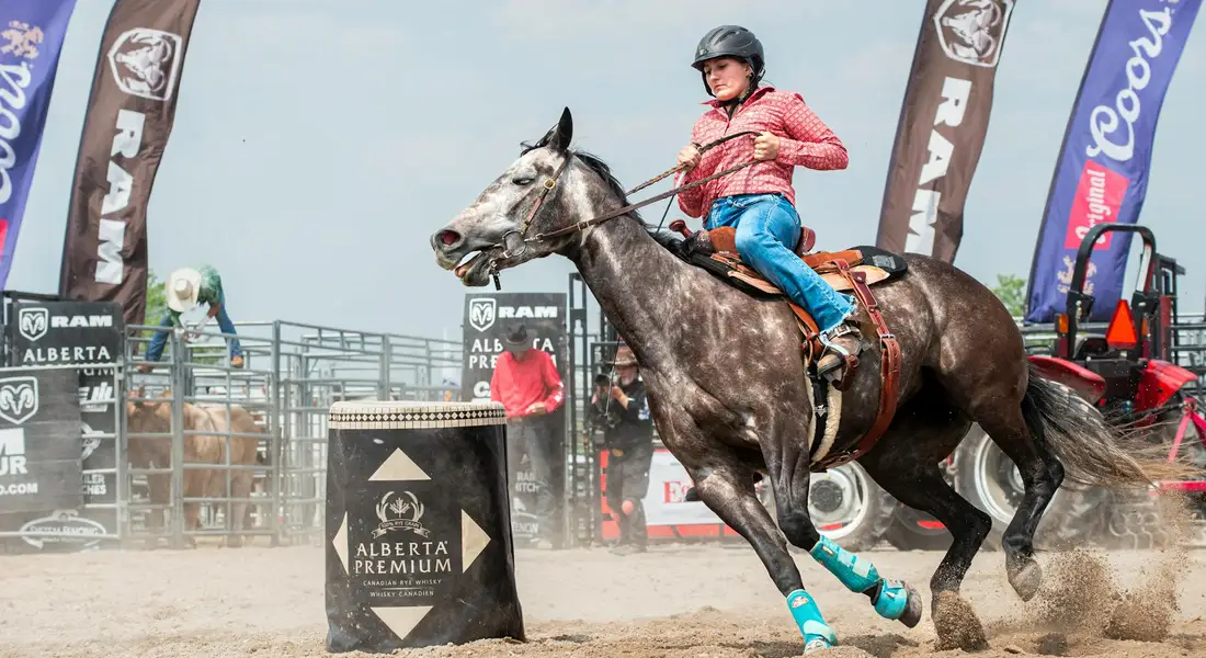 A gray horse with turquoise protective leg boots is ridden by a rider in a red jacket and blue pants as they leap over a barrier in a dusty rodeo-style arena.
