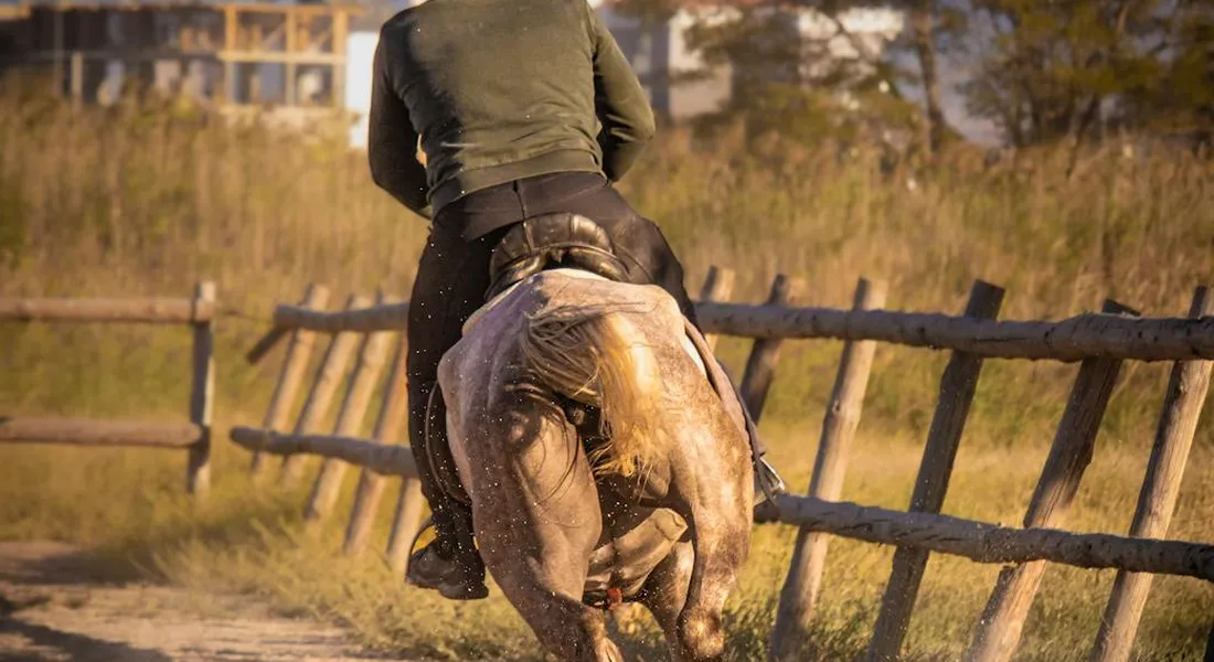 Back view of a rider on a light-colored horse walking along a wooden rail fence inside a round pen, shown from behind.
