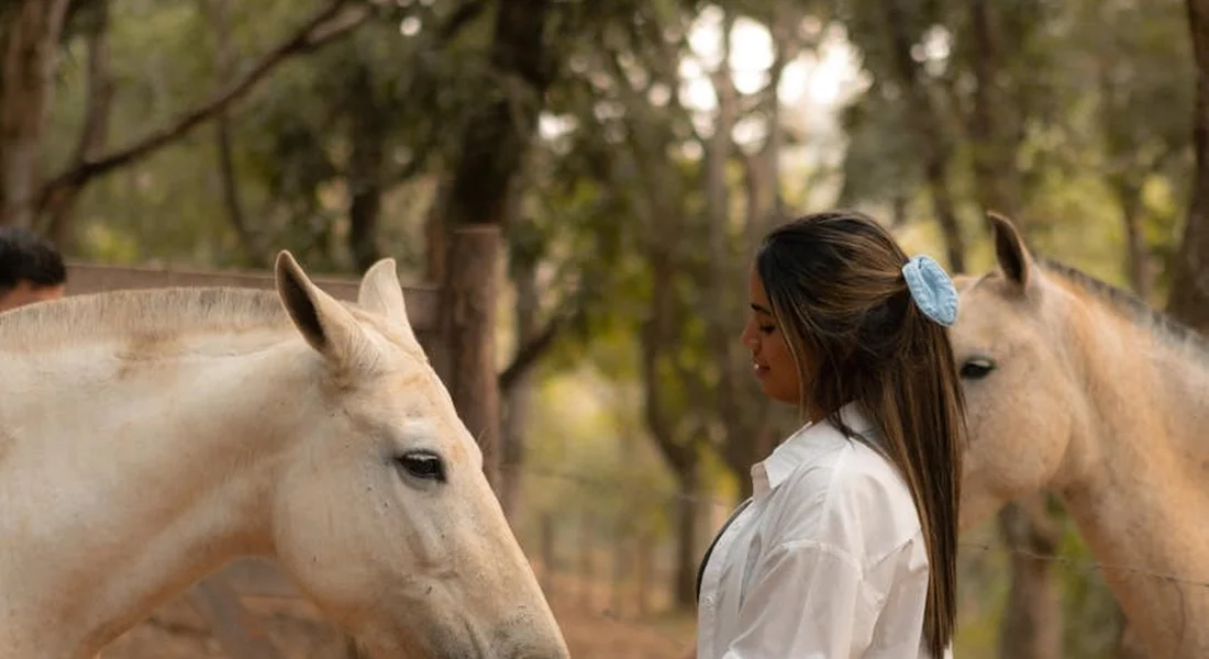 A woman in a white shirt with long hair stands near two pale horses in a shaded outdoor area.